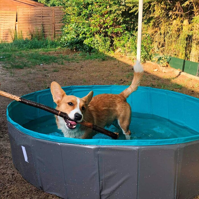 Дитячий басейн для собак Наварі складаний - пластиковий басейн для собак - Іграшки для спритності для собак - басейн для собак-Сірий нафтовий-versch. Розміри (Л)