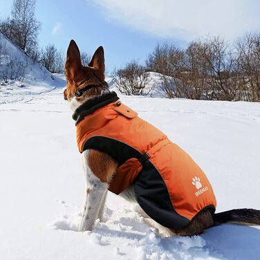 Зимове пальто для собак IREENUO, водонепроникна тепла куртка для собак, дощовик для маленьких і великих собак, зимове пальто для собак з отвором для ременя безпеки і світловідбиваючим дизайном (L)