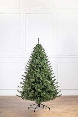 Ялинка лита 'Міланська' ПАРАСОЛЬКА ЗЕЛЕНА 2,10м