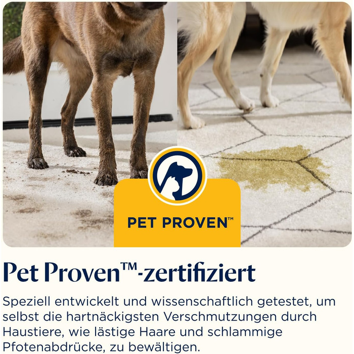 Портативний мийник для килимів Bissell SpotClean C5: для дому, авто, човнів та диванів