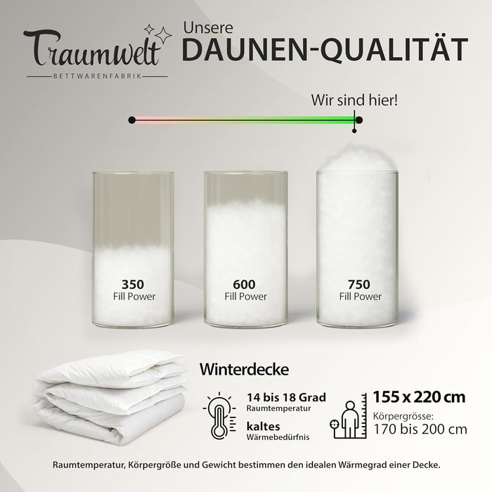 Німецька пухова ковдра 135x200 см з 90% пуху та 10% пера, для всіх сезонів, гіпоалергенна, сертифікат Öko-Tex 100 Клас 1, Downpass