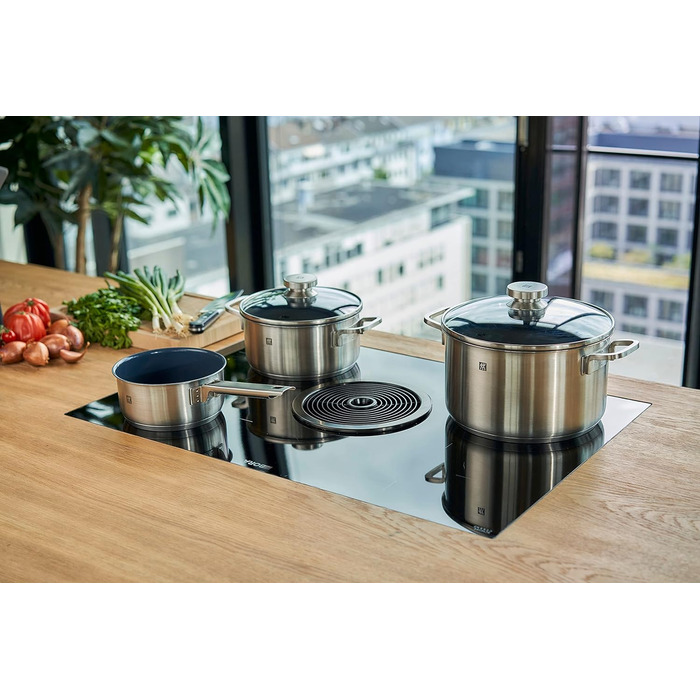 Набір каструль ZWILLING Quadro 5 предметів з нержавіючої сталі, без антипригарного покриття, 4 скляні кришки, підходить для індукційних плит