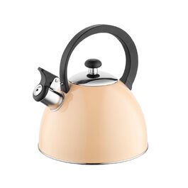 Чайник FLORINA Fenny Satin Induktion 2.5L з флейтою, нержавіюча сталь, Cool-Touch, сучасний дизайн (Brillo - персиковий)