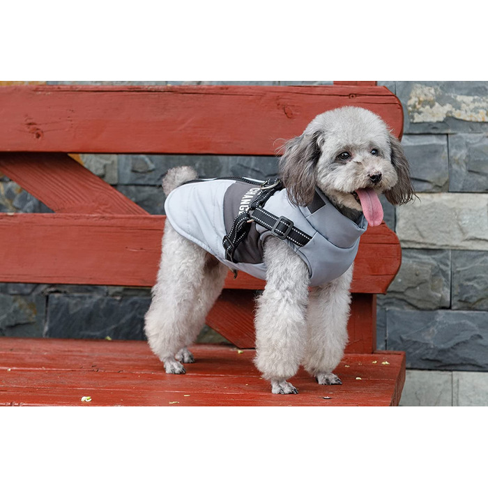 Пальто для собак Lairle, зимова куртка для собак, пальто для собак, пальто для цуценят, куртка, мокрий одяг, пальто для маленьких собак, пальто для маленьких собак середнього розміру Roa (XXL, синій)