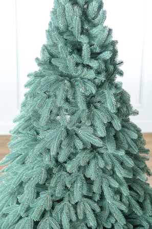 Ялинка лита 'Лапландська' ПАРАСОЛЬКА БЛАКИТНА 2,30м