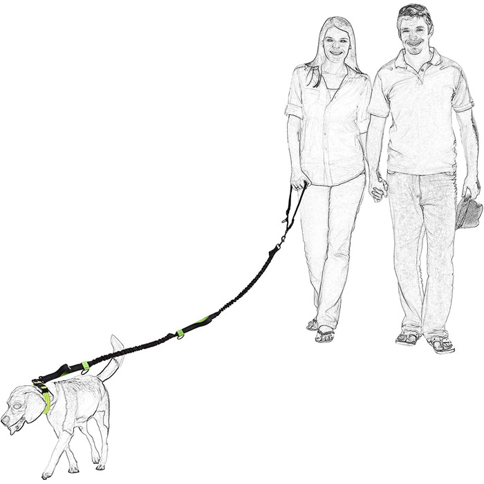 Висувний повідець для собак без рук, регульований світловідбиваючий банджі з подвійними ручками для бігу, червоний