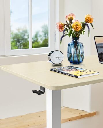 Електричний регульований стіл ErGear 120 x 60 см з пам'яттю, для дому та офісу, світле дерево