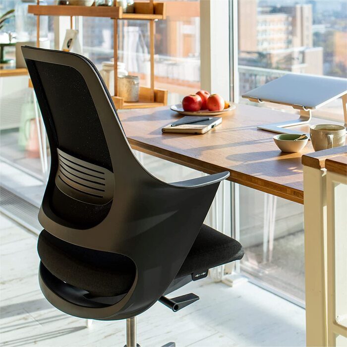 Ergotopia WellBack: Ергономічне крісло для офісу та дому, Made in Germany, з підтримкою попереку та синхромеханікою, білий каркас, сірий колір