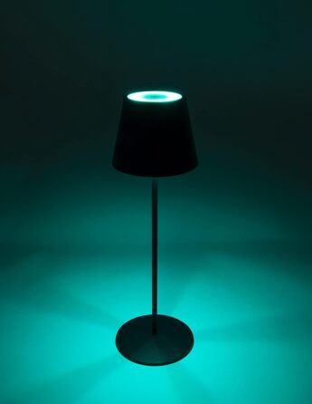 Стійка лампа Schwaiger OTL200 з нічним світлом LED, RGB, акумулятор, диммування, IP44, чорний (для дому та саду)