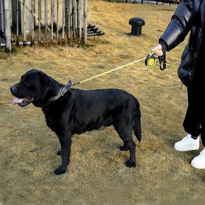 Короткий повідець для собак, регульований ремінець на зап'ясті зі світловідбиваючим повідцем для висувного повідця для собак, коляски, інвалідного візка
