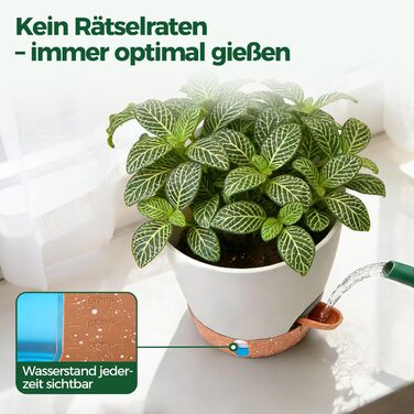 Набір з 4 самополивних горщиків для квітів T4U з індикатором рівня води, легкий у догляді, великий розмір (15 см, білий)