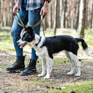 Повідець для собак Beddog віллі, регульований на 3 довжини, подвійний повідець, повідець для вигулу, повідець для вигулу, поводок для собак середнього і великого розміру, загальна довжина 2 м-хакі 2 м/25 мм хакі