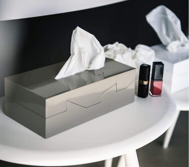 Коробка для косметичних серветок Spirella - коробка для косметичних серветок-Коробка для косметичних серветок в якості дозатора або тримача-Коробка для дозатора серветок ABS 24,8 x 12,8 x 8 см (білий)