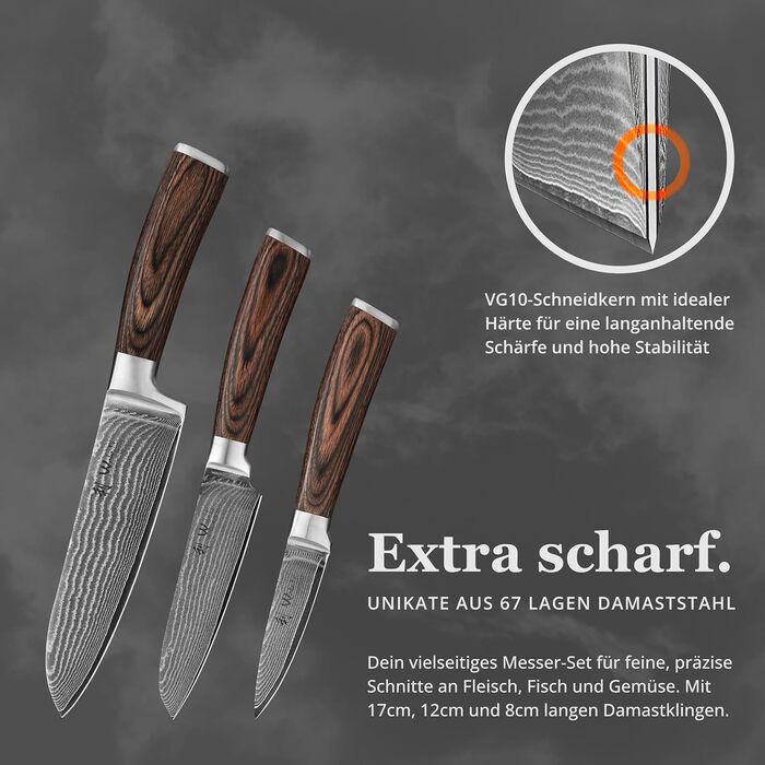 Набір кухонних ножів Wakoli EDIB 3 шт. з дамаської сталі (серцевина VG10) у дерев'яній подарунковій коробці – гострі та ергономічні – набір дамаських ножів з ручками з паккавуда
