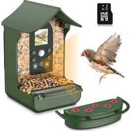 Годівниця для птахів Cozion, годівниця для птахів з камерою садовий будиночок, камера для птахів 1080P HD, годівниця для птахів нічного бачення, Автоматична відеозйомка / фотозйомка птахів, Годівниці для диких птахів-32 ГБ зеленого кольору