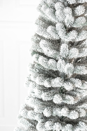 Ялинка лита 'Президентська' конусна ЗАСНІЖЕНА 2,10м