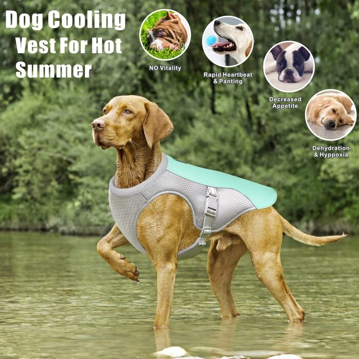Охолоджуючий жилет для собак Dolahovy, куртка для собак з дихаючою сіткою, регульована літня куртка для собак, Світловідбиваюча захисна Крижана одяг для великих середніх і маленьких собак, Вулична, 3XL, синя