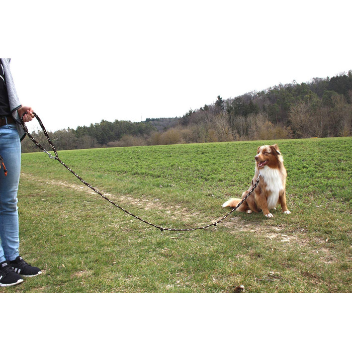 Повідець Activity4Dogs для великих собак, плетений з 3-ма регульованими повідцями довжиною 2 м, виготовлений в Німеччині (2,80 м з 4-ма регульованими повідцями, коричнево-чорно-білий)