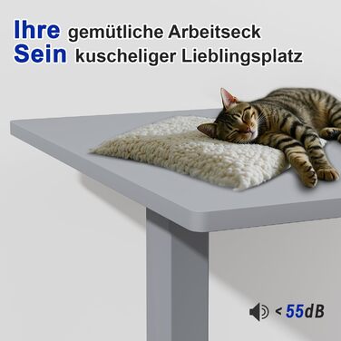 Столешниця JUMMICO для столу з регулюванням висоти, з потужними моторами, 3-ох пам'ять, для сидіння та стояння (білий), 100 x 160 см