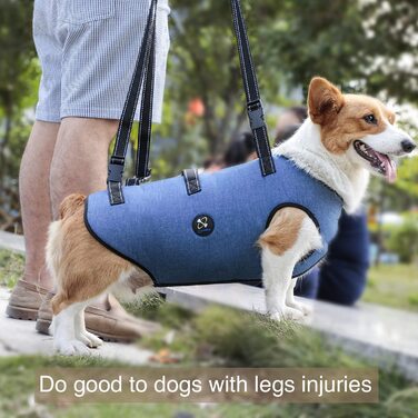 Шлейка для собак Coodeo, підйомний ремінь для домашніх тварин, підтримка і реабілітація, регульовані дихаючі ремені з м'якою підкладкою для літніх людей, інвалідів, травм суглобів, (Синій, S) Синій