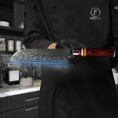 Японський ніж Gyuto FANTECK з дамаської сталі 20 см (67 шарів VG-10) - професійний кухонний ніж з ручкою з паккавуду, в подарунковій коробці