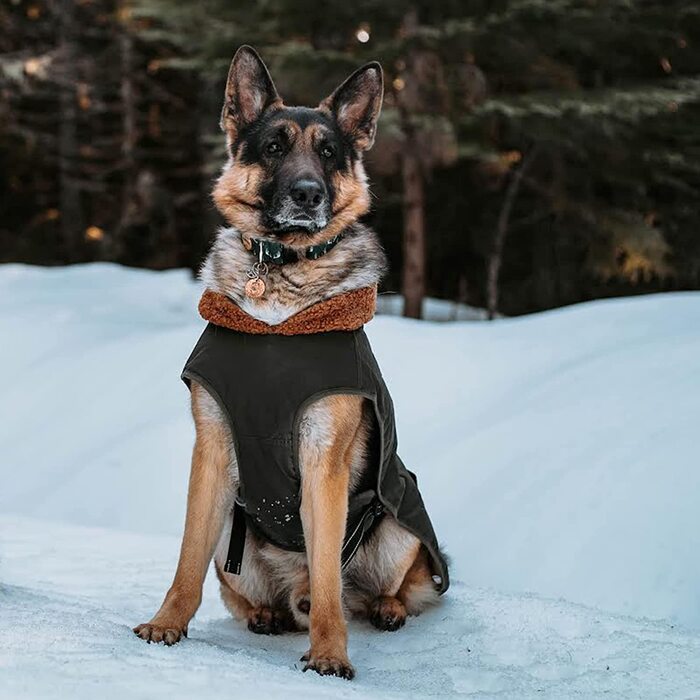 Зимова куртка IREENUO для собак, водонепроникна зимова куртка для одиноких і великих собак, зимова куртка для собак з регульованим ременем і захистом для живота, зимова куртка для собак на осінь-зиму (зелений, S)
