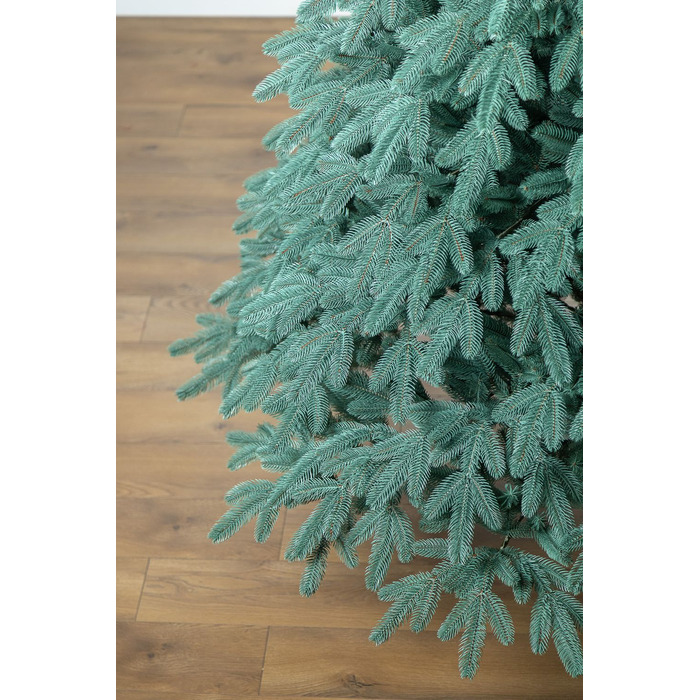 Ялинка лита 'Лапландська' ПАРАСОЛЬКА БЛАКИТНА 2,30м