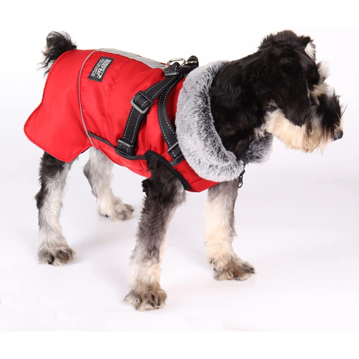 Повсякденний одяг для собак, зимова куртка для домашніх тварин, світловідбиваючий одяг для маленьких собак, вітрозахисний жилет для цуценят, костюм для собак, зимовий костюм для маленьких собак, розміром з сідло, для бульдога, Тедді (s, червоний), з капюш