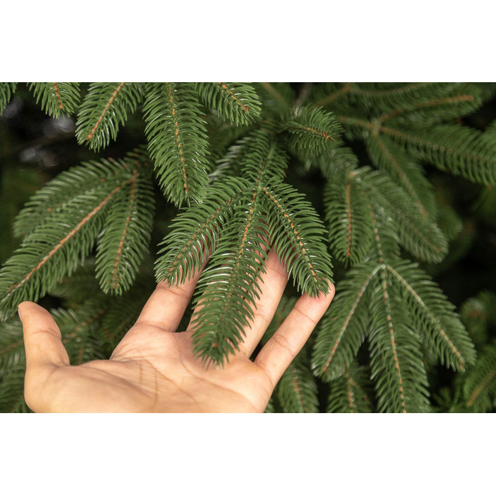 Ялинка лита 'Лапландська' ПАРАСОЛЬКА ЗЕЛЕНА 3,00м