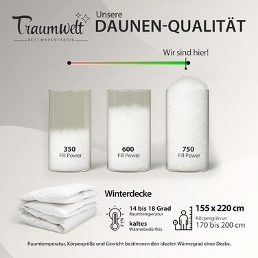Німецька пухова ковдра 135x200 см з 90% пуху та 10% пера, для всіх сезонів, гіпоалергенна, сертифікат Öko-Tex 100 Клас 1, Downpass
