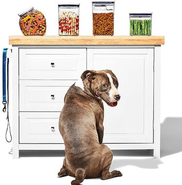 Контейнер для корму OXO Good Grips Pet POP 4.2 л з лопаткою | Безпечний, герметичний, BPA-free | Для собак та котів