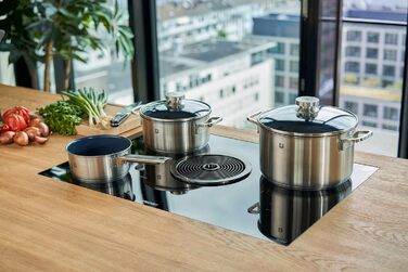 Набір каструль ZWILLING Quadro 5 предметів з нержавіючої сталі, без антипригарного покриття, 4 скляні кришки, підходить для індукційних плит