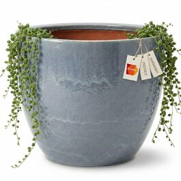 розмір: 21 см x 18 см