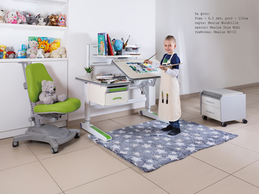 Дитячий стіл Mealux Woodville Multicolor W (арт. BD-850 W/MC)