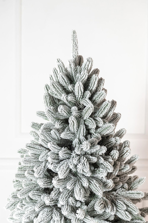 Ялинка лита 'Лапландська' ЗАСНІЖЕНА ПАРАСОЛЬКА 1,50м