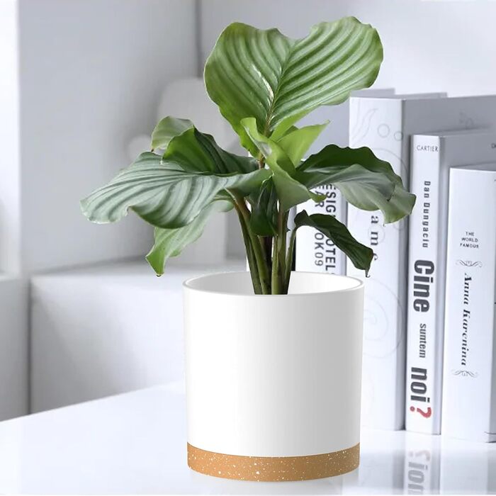 Набір горщиків для квітів з підставкою (5 шт.), 17.8/15.2/14/12.7/10.2 см, пластик, для дому та балкона, зелений з коричневим підставкою