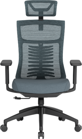 Крісло офісне OfficePro Balance OC550-B-DG-DG