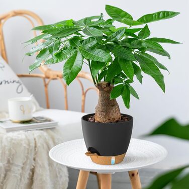 Набір горщиків для квітів ZMTECH 25 см з підставкою, 2 шт., чорний, самополив, пластик