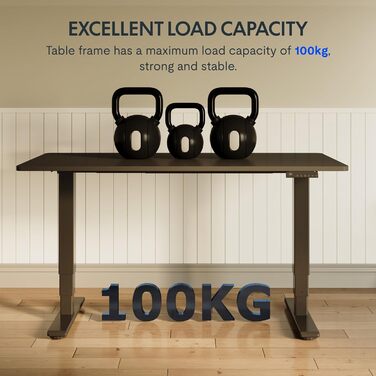 Електричний регульований стіл FLEXISPOT 120x80 см з подвійним мотором – ергономічний стоячий стіл для дому та офісу, чорний, 100 кг, тихий (<50 дБ)