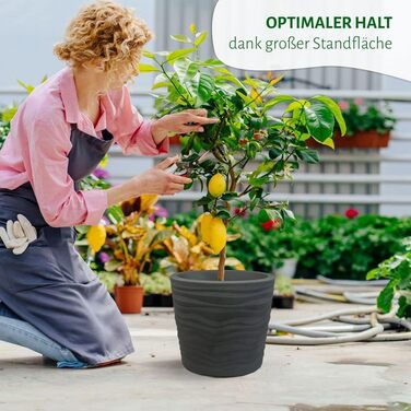 Квітчар Trento: круглий горщик для рослин, стійкий до погодних умов, антрацит, діаметр 35 см