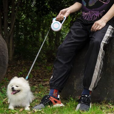 Висувний повідець AIITLE для собак, 4,8 м, портативний, для прогулянок на свіжому повітрі, нічних прогулянок, світловідбиваючий повідець для собак і кішок малого та середнього розміру, м'який і не прилипає, 4,8 м (10 футів, синій)