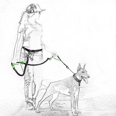 Висувний повідець для собак без рук, регульована талія для бігу, світловідбиваючий банджі з подвійними ручками (Помаранчевий)
