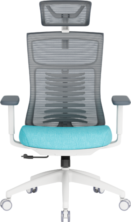 Крісло офісне OfficePro Balance OC550-W-DG-BL