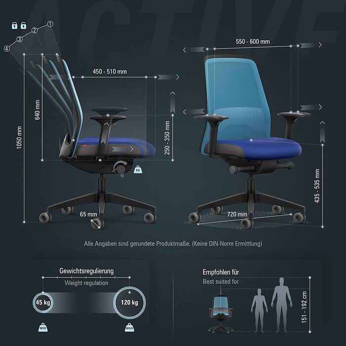 Офісне крісло Interstuhl Every Active Edition – регульована поперекова підтримка, комфортне та активне сидіння (Зелений | Чорний) (Світло-блакитний | Блакитний)