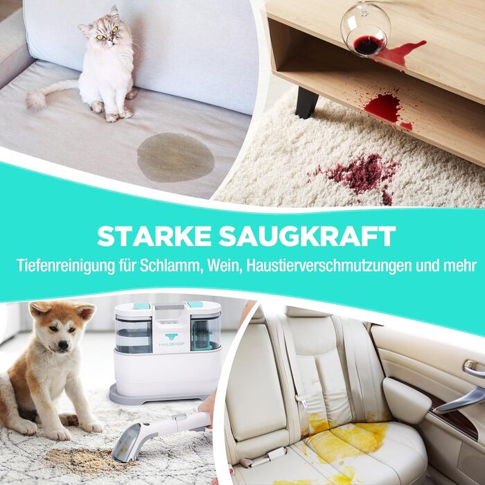 HAUSHOF StainZapper Pro: мийка для килимів та меблів, 450W, 12kPa, 1.5+0.8L, з миючим засобом та щіткою для швів. Ефективний видалення плям з килимів, диванів, меблів та авто.