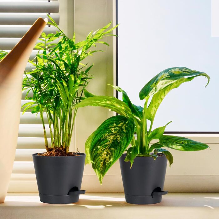 Набір горщиків для квітів 6 шт. з автополивом, чорний. Підходить для дому та балкона. Розміри: 20.3-12.7 см.