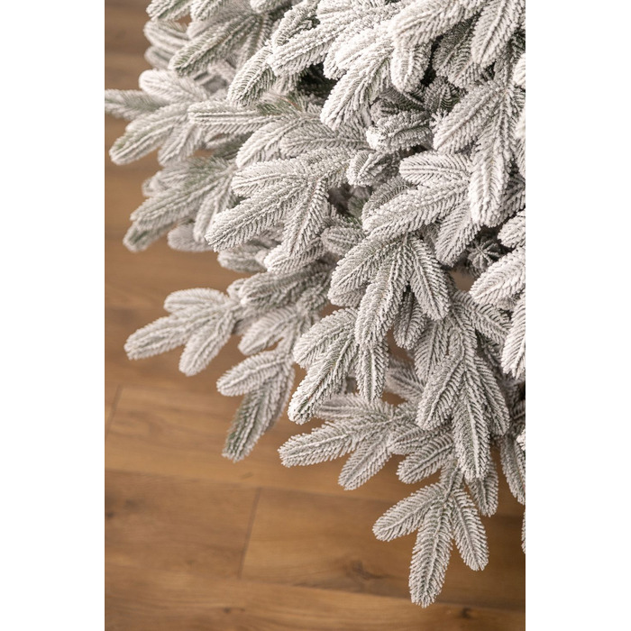 Ялинка лита 'Лапландська' ЗАСНІЖЕНА ПАРАСОЛЬКА 1,50м