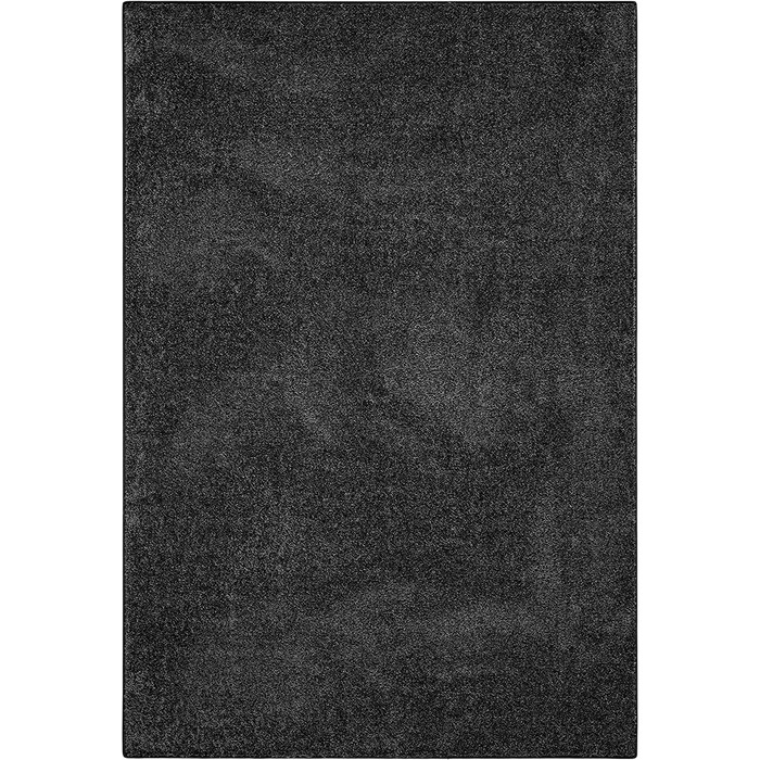 Килим для дому Carpet Studio 115x170 см чорний