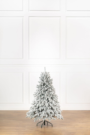 Ялинка лита 'Лапландська' ЗАСНІЖЕНА ПАРАСОЛЬКА 1,50м