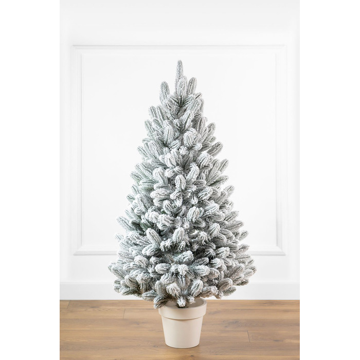 Ялинка лита 'Лапландська' в горщику ЗАСНІЖЕНА 0,70м